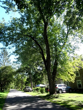 Enlarge photo 19