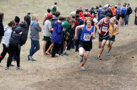 Enlarge photo 30