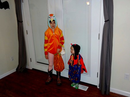 Enlarge photo 16