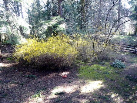 Enlarge photo 9