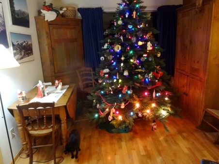 Enlarge photo 42