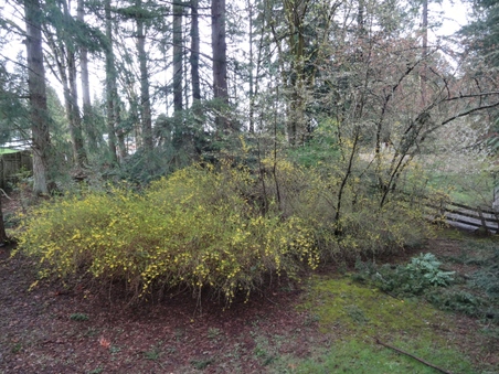 Enlarge photo 3