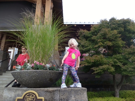 Enlarge photo 42