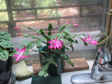 Enlarge photo 26