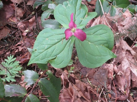 Enlarge photo 9
