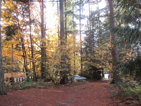 Enlarge photo 33