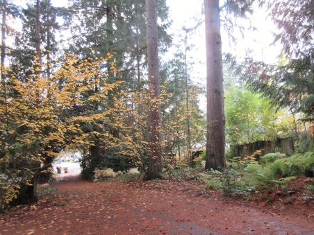 Enlarge photo 34