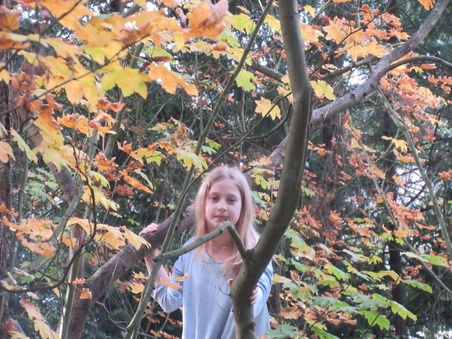 Enlarge photo 21