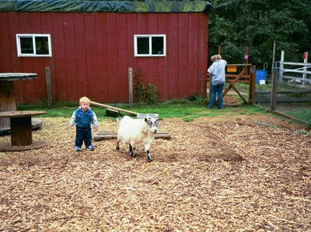 Enlarge photo 7