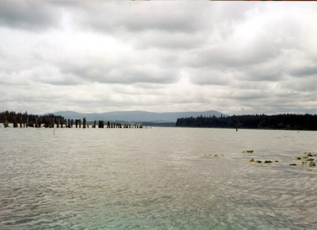 Enlarge photo 42
