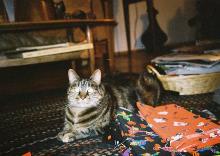 Enlarge photo 10