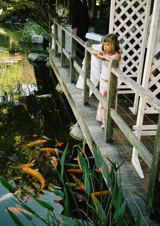 Enlarge photo 53