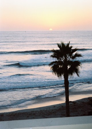 Enlarge photo 75
