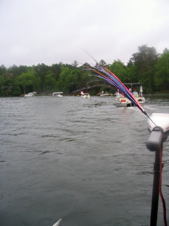 Enlarge photo 177