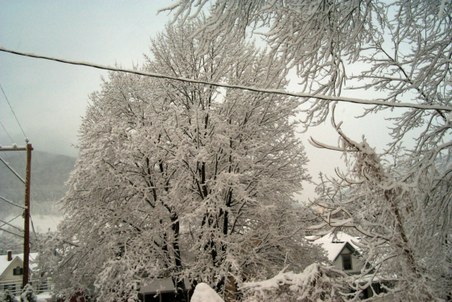 Enlarge photo 23