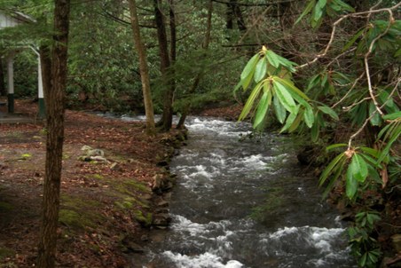 Enlarge photo 25
