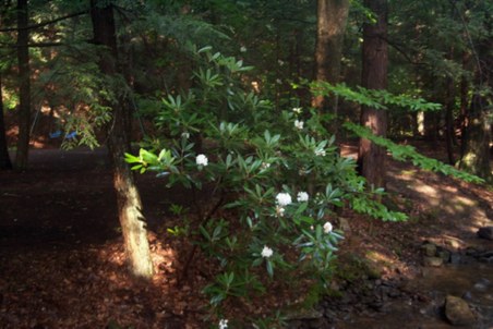 Enlarge photo 28