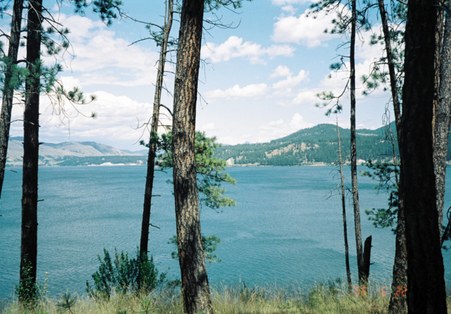 Enlarge photo 15