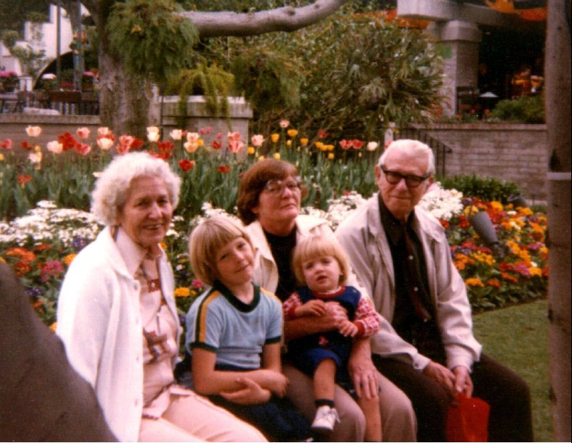 View Original Image