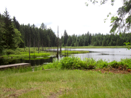 Enlarge photo 11