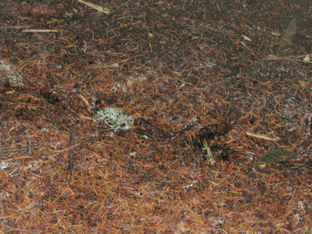 Enlarge photo 22