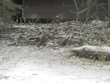 Enlarge photo 26