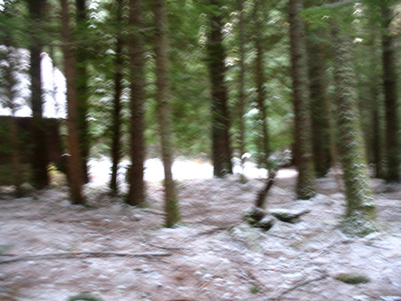 Enlarge photo 28