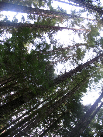 Enlarge photo 29