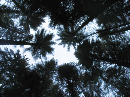 Enlarge photo 30