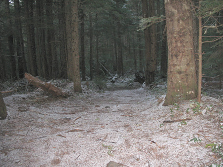 Enlarge photo 33
