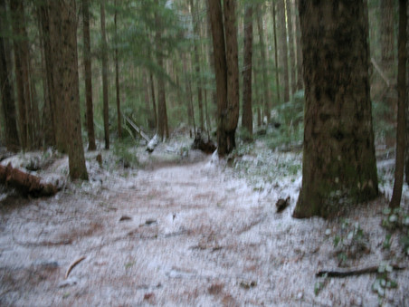 Enlarge photo 35