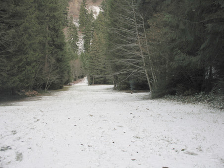Enlarge photo 37