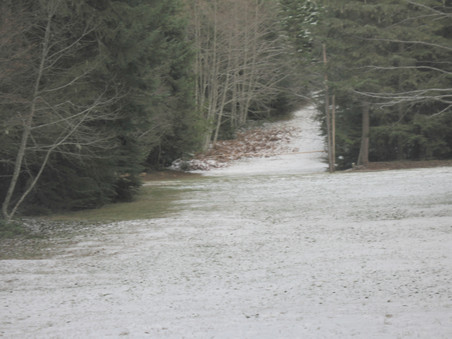 Enlarge photo 38