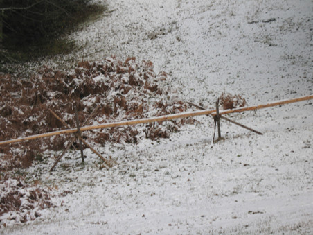 Enlarge photo 39