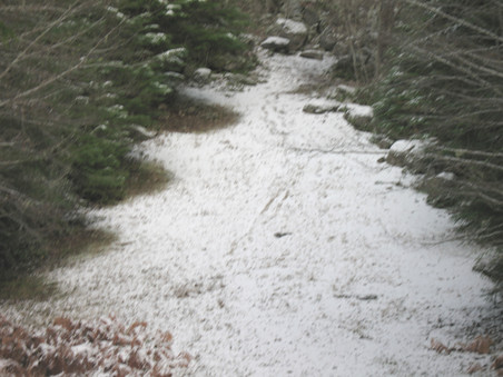 Enlarge photo 40