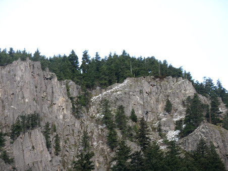 Enlarge photo 41