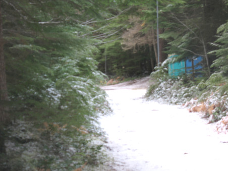 Enlarge photo 42