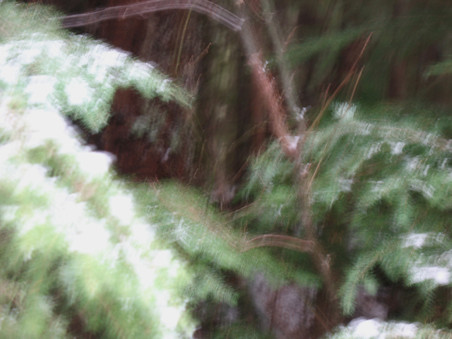 Enlarge photo 44