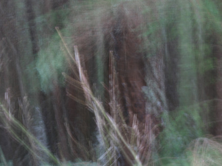 Enlarge photo 45
