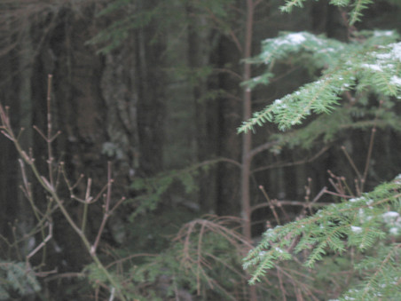 Enlarge photo 46