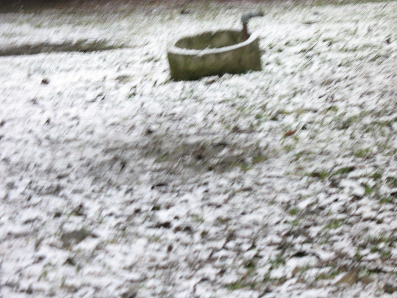 View Original Image