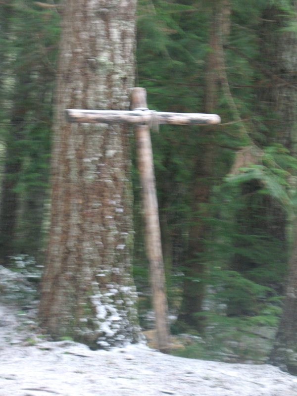 View Original Image