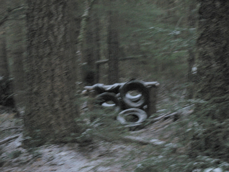 View Original Image