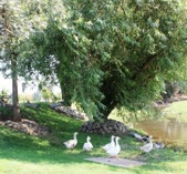 Enlarge photo 13
