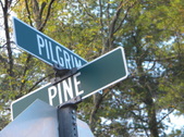 PILGRIM/ PINE BIRMINGHAM