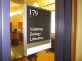 Rm 179 Vertabrate Zoology