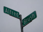 # 16 Alfred / Brush