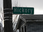 Hickory