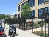 City Bird Across from Shinola