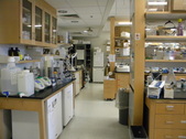Enlarge photo 26
